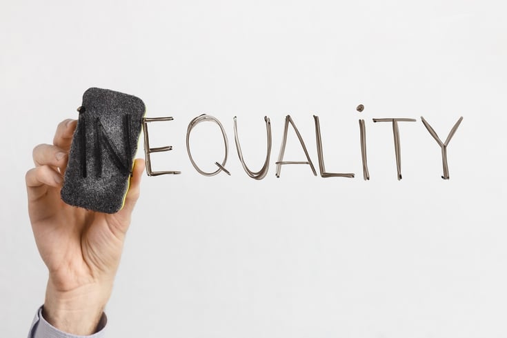 inequality diversity inclusion equity