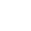 _0002_icons_NEURAL-LEARNING-TECHNIQUES